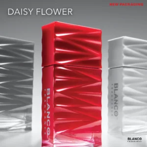 Daisy Flower