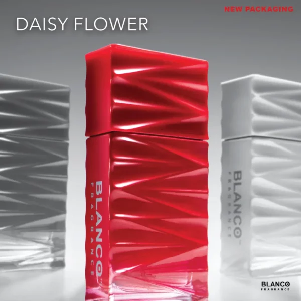 Daisy Flower